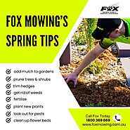 Fox Mowing Spring Tips