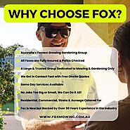 Why choose FOX?