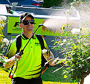 Lawn and Garden Bug Spraying Sydney | Pest Control Service Sydney