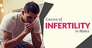 Male Infertility: Causes and Treatment Options