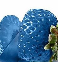 FD792 Blue Strawberry Seeds Nutritious Delicious Fruits Seed Strawberries 50PCs