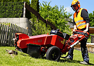 Stump Grinder: The Ultimate Guide to Removing Tree Stumps