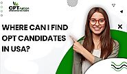 Where Can I Find OPT Candidates In USA?