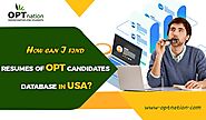 How can I find resumes of OPT candidates database in USA?