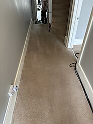 Efficient Carpet Cleaning in South London