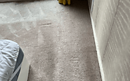 Dependable Carpet Cleaning in London