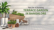 Tips For A Stunning Terrace Garden In Bangalore. – Green Carpet