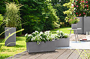 Shop Lightweight Fibre Pots, Fiber Planters - Green Carpet