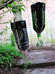 Up Side Down Planter