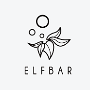 Best Elf Bar Disposable Compact Kit | UniVapez