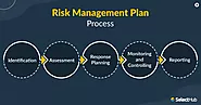 Define the Purpose of the Risk Management Plan