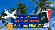 Cancel the Flight of a Particular Traveller