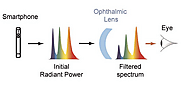 Relationship between blue-light protection (BLP) glasses and melatonin, sleep, and circadian rhythm