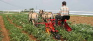 Horse Drawn Farm Equipment for Draft Horse Farming * I & J Manufacturing, LLC Gap PA 17527