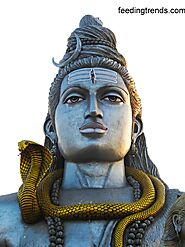 Bhimashankar Jyotirlinga Temple Story: One of 12 Jyotirlinga Of Shiva