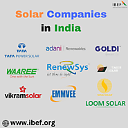 Solar Revolution: Top Solar Companies in India | Clean Energy Future