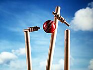 Experience the Thrill of Live Cricket Action with our Online Game