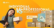 Amazon Individual Seller vs. Professional Amazon Seller Accounts | A Complete Guide