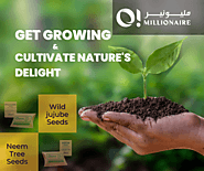 Get Growing with Buy Jujube & Neem Tree Seeds and Cultivate Nature’s Delight