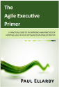 The Agile Executive Primer