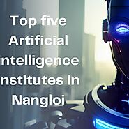 Top five Artificial intelligence institutes in Nangloi by Sauravi Subba