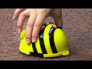 Bee-Bot®: a class introduction