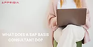 What does a SAP BASIS Consultant do?