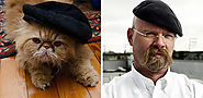 Cats and their Doppelgangers - Pet Reporters