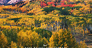 Aspen Viewing: Colorado Fall Foliage Drives