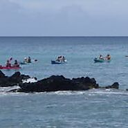 Explore the Wonders of Maui Ocean Adventures Tours at Maui Adventure Tours