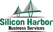 Financial Planning and Analysis - Silicon Harbor Business Services