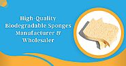 High-Quality Biodegradable Sponges Manufacturer & Wholesaler