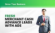 I will generate mca or merchant cash advance leads through ads