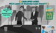 I will provide aged mca leads, business loan leads data