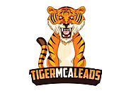I will provide mca aged leads