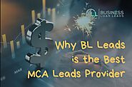I will provide exclusive mca live transfer leads