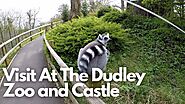 Visit At The Dudley Zoo and Castle