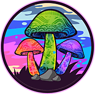Magic Mushrooms | Psychedelics Awareness Shop | Magic Mushrooms Delivery Online