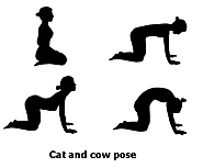 Cat-Cow Pose (Marjaryasana/Bitilasana)