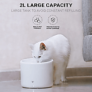 Top 8 Smart Cat Water Fountains of 2024