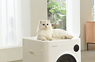 Transform Your Cat's Space with the Smart Litter Solution!