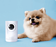 Stay Connected: Explore Canada's Best Pet Camera!