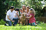 "Family Visa NZ: Bringing Your Loved Ones Together in New Zealand”