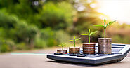 Calculate your returns with FD calculator online | IndusInd Bank