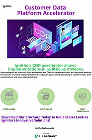 Customer Data Platform Accelerator - Ignitho Technologies | Piktochart Visual Editor