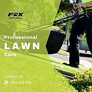 Professional Lawn Care