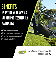 Lawn and Garden Maintenance