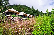 Luxury Property Hotel in Kinnaur Himachal Pradesh | Sailya Camping and Trekking