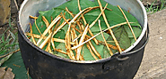 Alles wat je moet weten over ayahuasca en de ceremonie