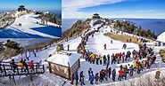 Top 10 Tourist Places in Shimla for Visiting